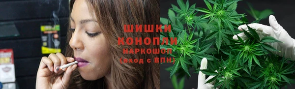 мет Новозыбков