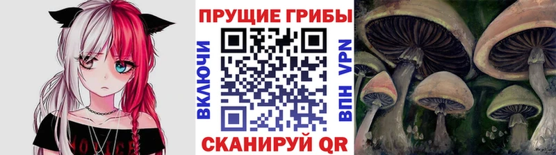 Псилоцибиновые грибы Psilocybine cubensis  закладки  Донецк 